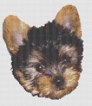 Romeo (image for) Romeo